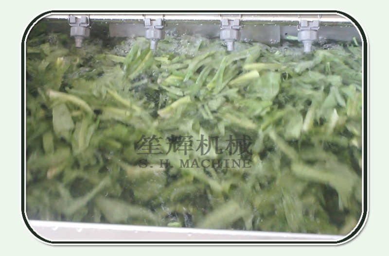 fruit cleaning machine-food machine