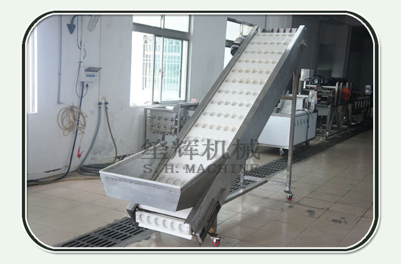 fruit conveyor for sale