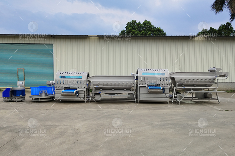 vegetable washing line 