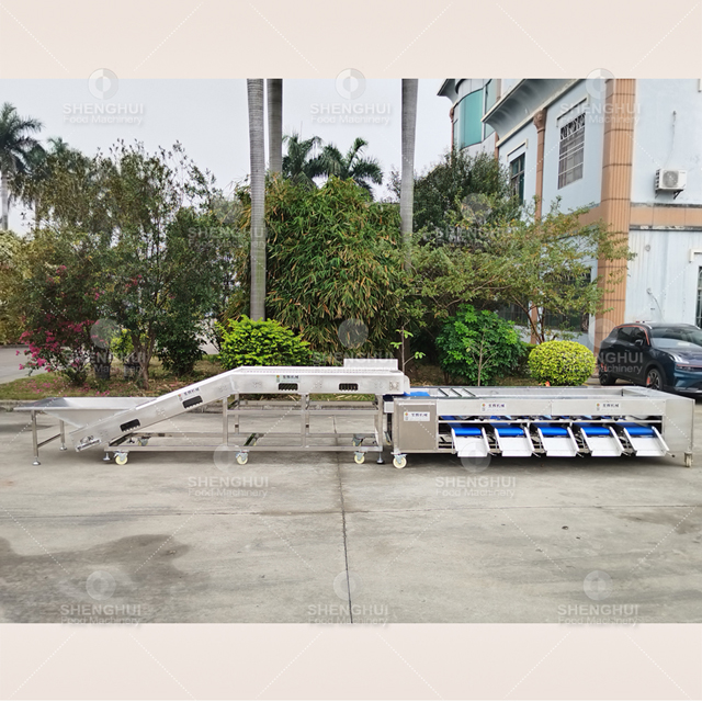 Automatic fruit sorting machine cherry tomato sorter potato grader blueberry grading machine 