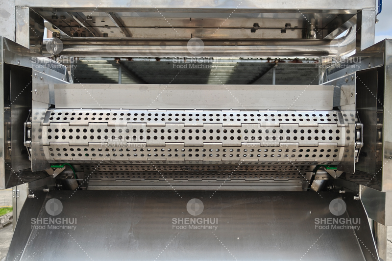 fish cleaning machine (11)