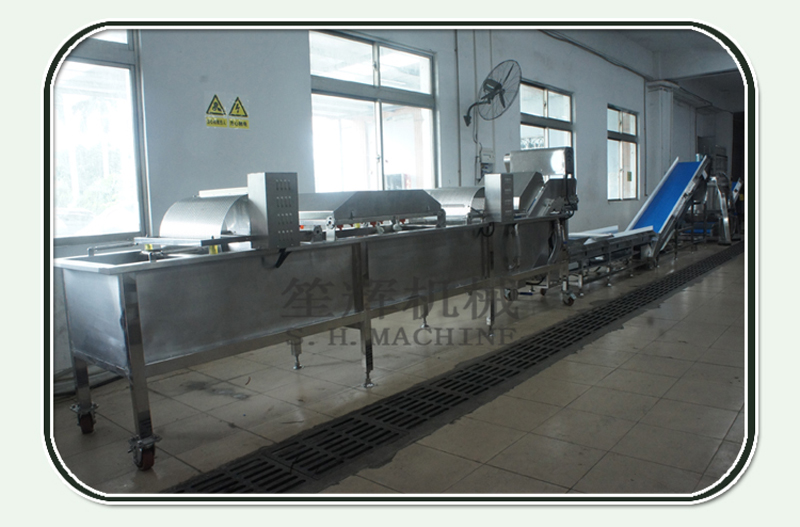 vegetable washing machine