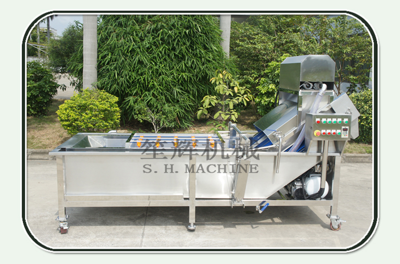 furit cleaning machine 3