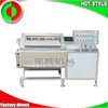Multifunctional bubble ozone vegetable cleaning machine