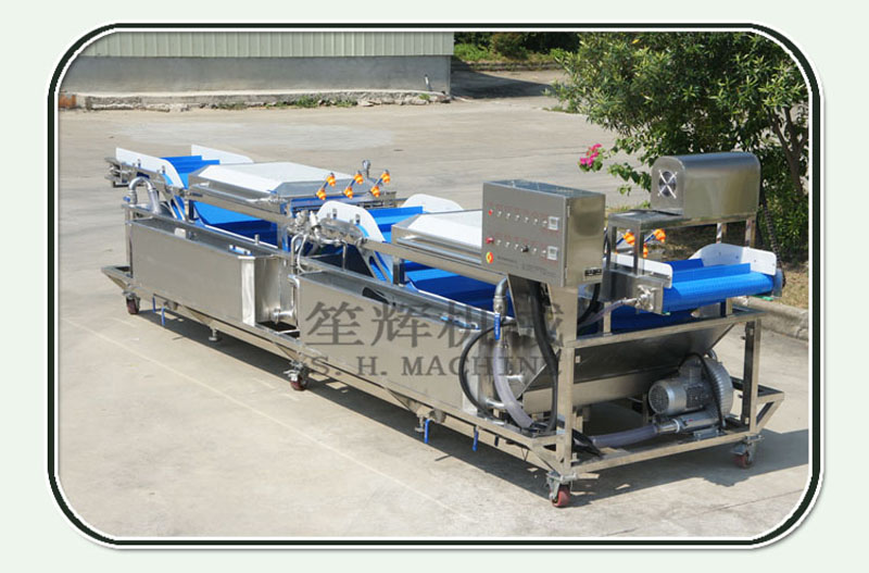 onion cleaning machine