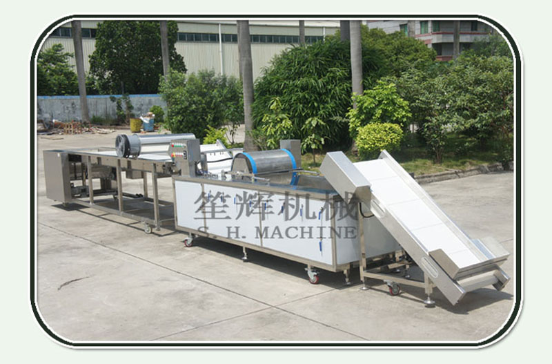 fruit processing line machine