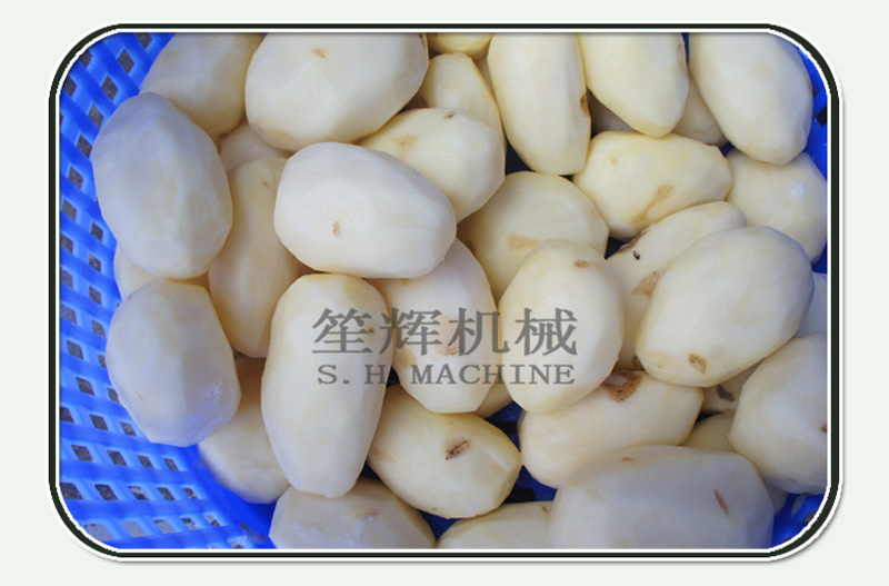 food processing equipment