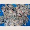 Large oblique fish meat slicing machine fish meat cutting equipment octopus meat slicer 