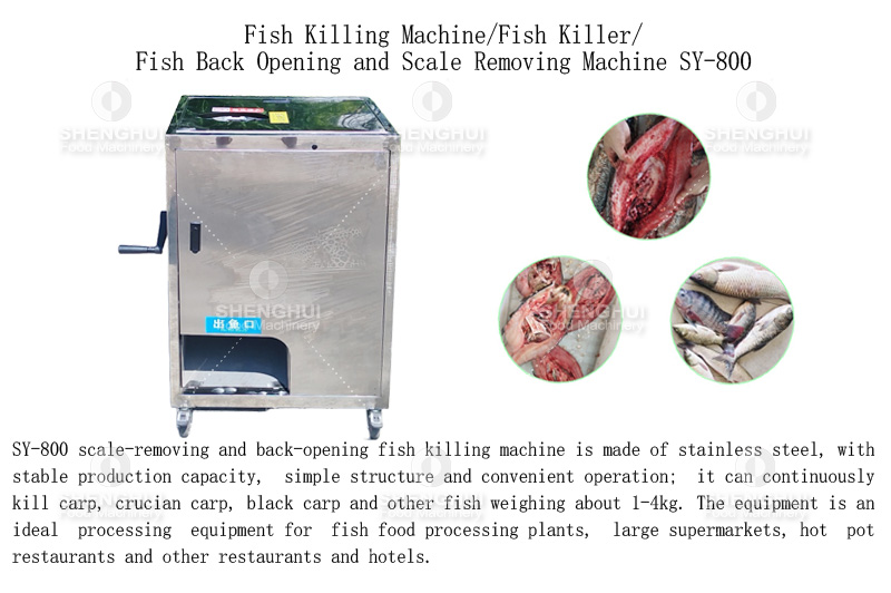 fish scaler (2)