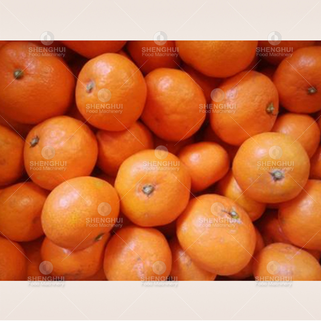 Automatic fruit sorting machine cherry tomato sorter potato grader blueberry grading machine 