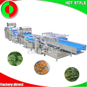 Commercial vegetable processing line machine vegetable washing machine fruit cleaning machine non-destructive salad washer