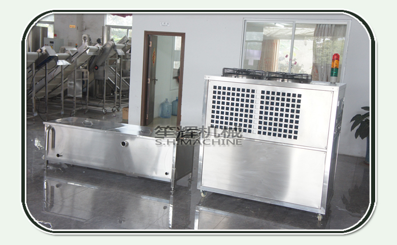 fruit processing machine