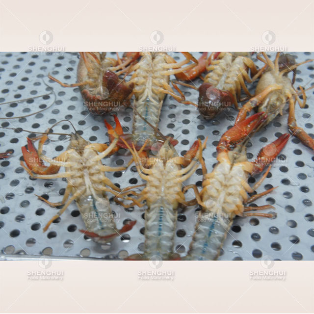  Commercial ultrasonic crayfish cleaning machine air bubble scallop snail washing machine