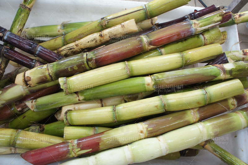 brush cleaning machine