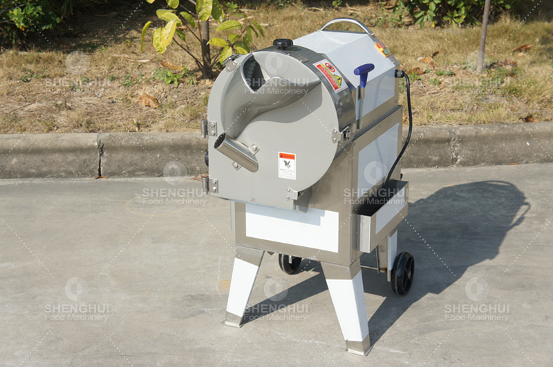 vegetable cutter (2)