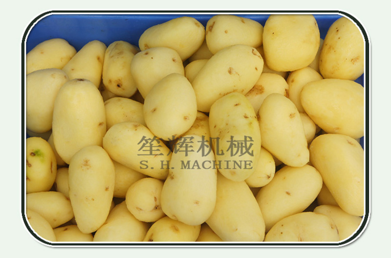 brush cleaning machine