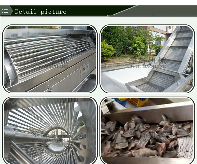 fish clenaing machine