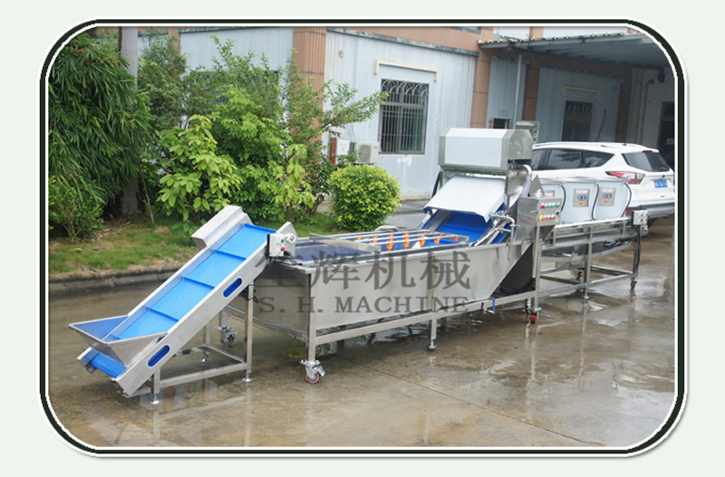 fruit cleaning machine