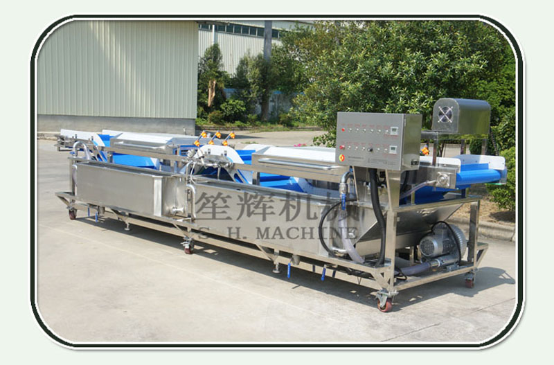 salad cleaning machine