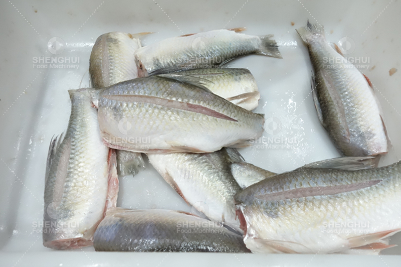 fish head removing machine