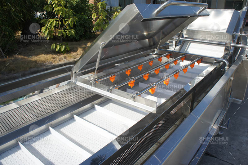 fruit cleaning machine