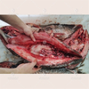Automatic fish killing machine fish scale removing machine fish gutting machine food machinery fish fillet cutting machine 