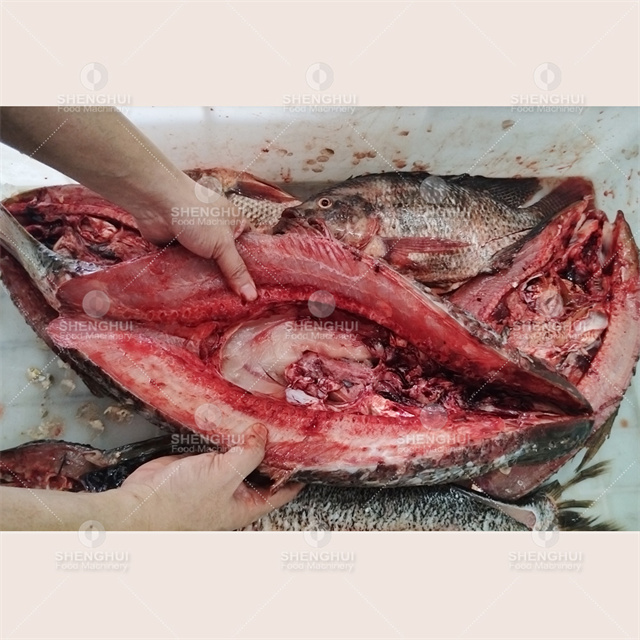 Automatic fish killing machine fish scale removing machine fish gutting machine food machinery fish fillet cutting machine 