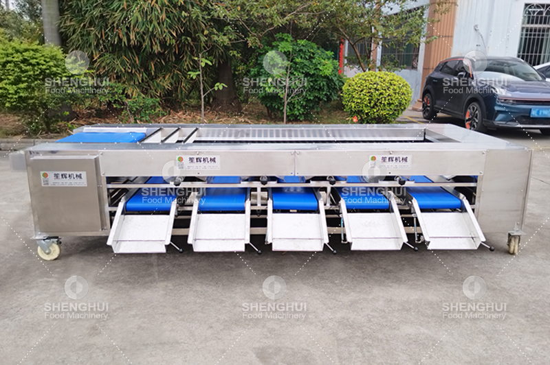 furit sorting machinery 3