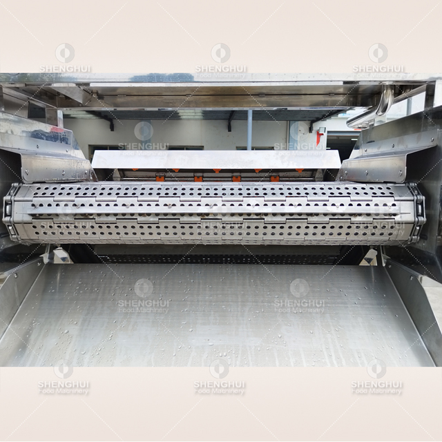 Automatic fish washing machine fish cleaning machine meat washer fish desalting machine 