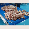 Automatic meat cutting machine meat cube cutter meat slicing machine food equipment fish cutter