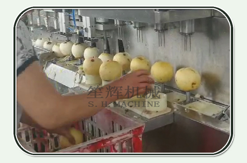 fruit peeling machine