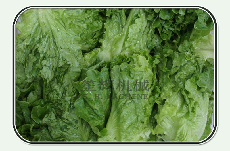 fruit cleaning machine3