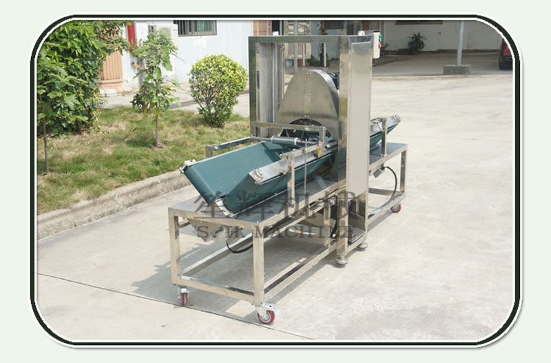 pumpkin peeling machine 2