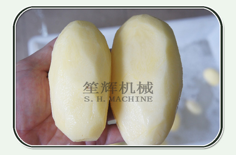 food processing machine 1