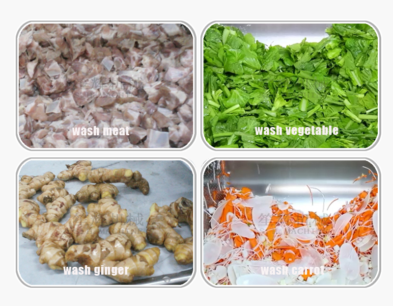 fruit washing machine