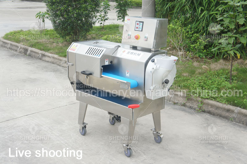 vegetable cutting equipment