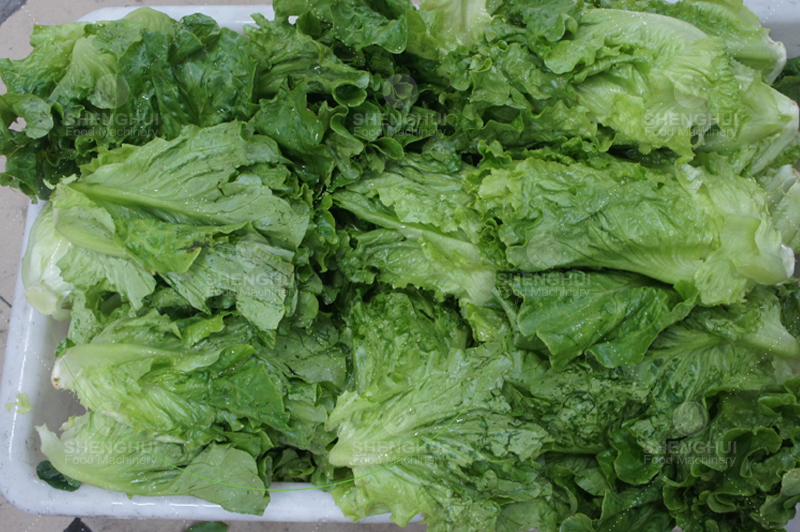 vegetable washer 1 (2)