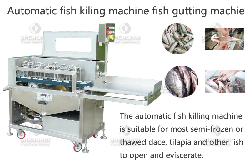 fish gutting machine 3