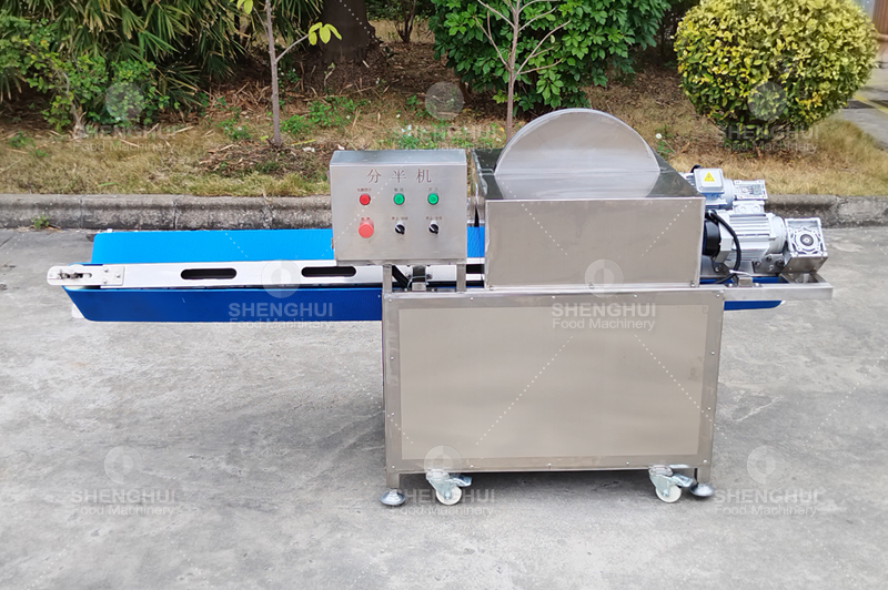 vegetable cutter (5)