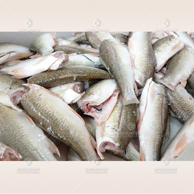 Automatic fish washing machine fish cleaning machine meat washer fish desalting machine 