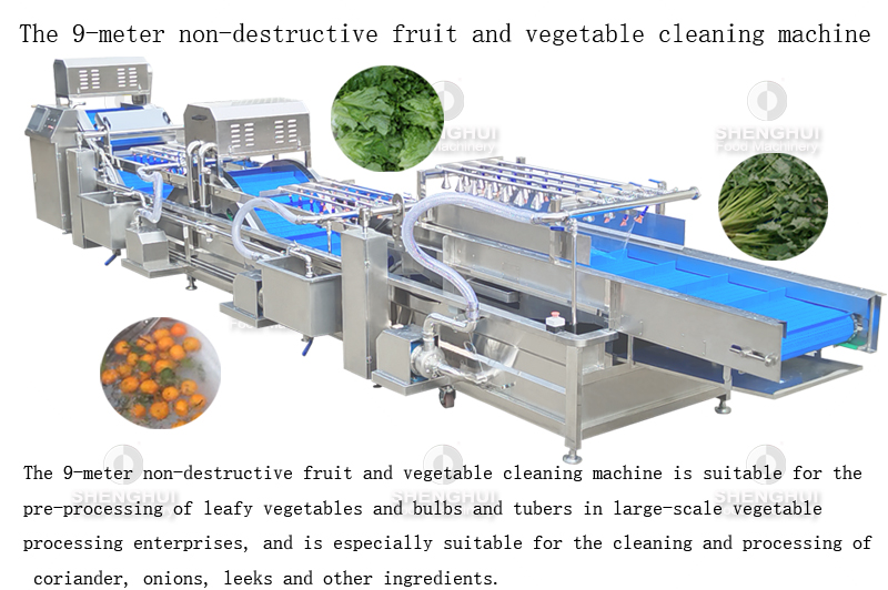 vegetable cleaner 1