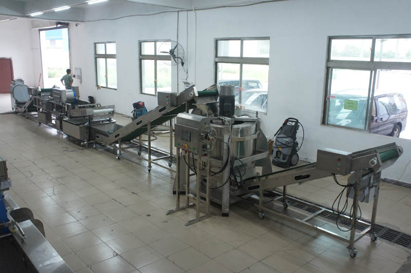 fruit washer machine price