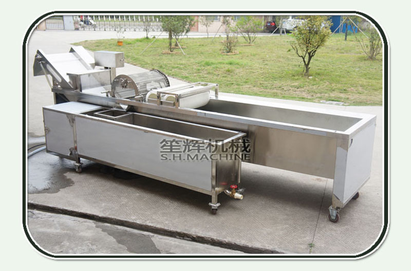 fruit and vegetable cleaner machine-vegetable washing machine