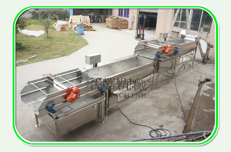 fruit processing equipment