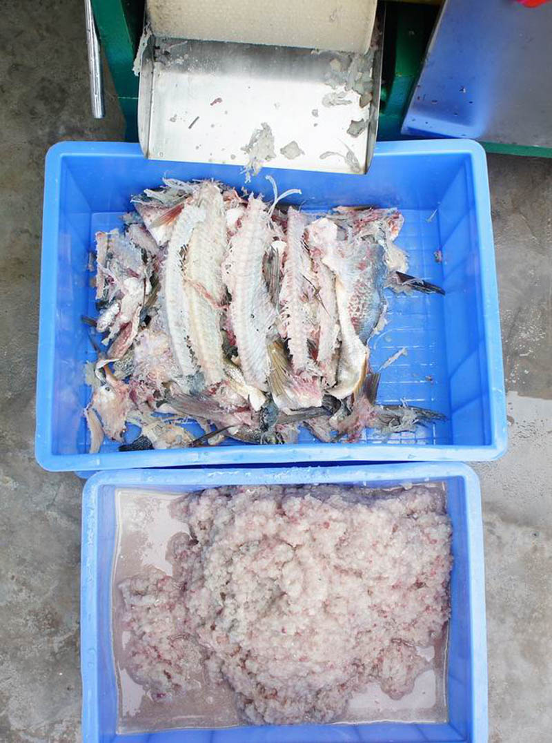 fish grinder