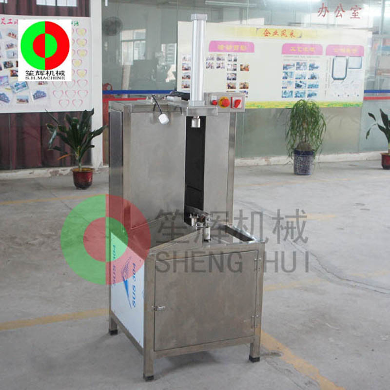 mango peeler machine