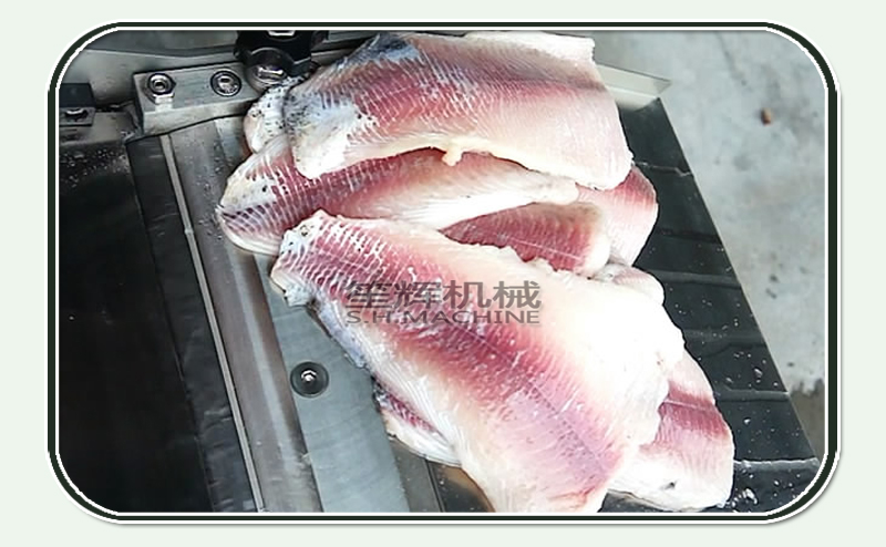 how to skin a fish-food machine-shenghui-fish skinner
