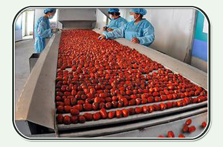 jujube fruit benefits