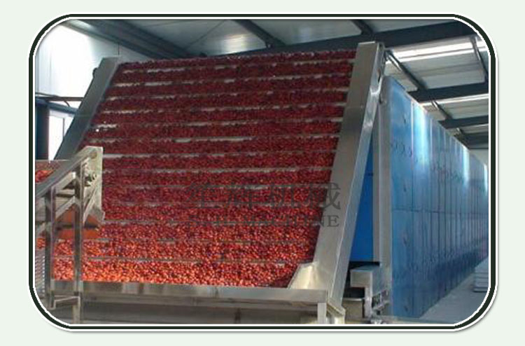 li jujube tree for sale