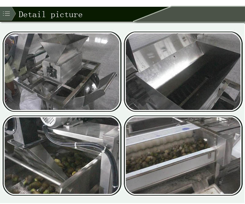 food processing production